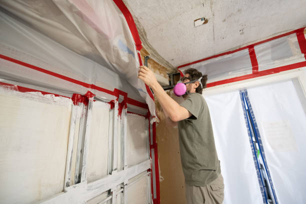 Best Mold Remediation for Healthcare Facilities  in Fillmore, CA